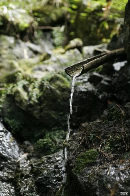 Top 100 History Roads "Miyazu Kaido Oeyama Fukko Pass Over"