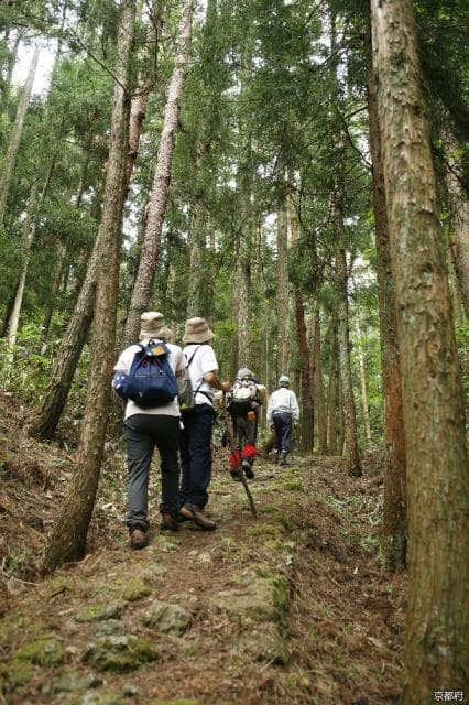 Top 100 History Roads "Miyazu Kaido Oeyama Fukko Pass Over"