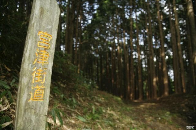 Top 100 History Roads "Miyazu Kaido Oeyama Fukko Pass Over"