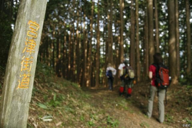 Top 100 History Roads "Miyazu Kaido Oeyama Fukko Pass Over"