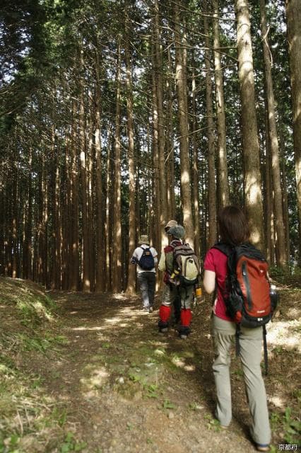 Top 100 History Roads "Miyazu Kaido Oeyama Fukko Pass Over"