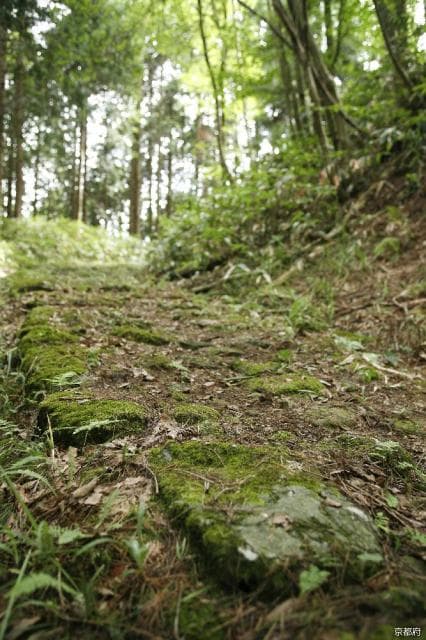 Top 100 History Roads "Miyazu Kaido Oeyama Fukko Pass Over"