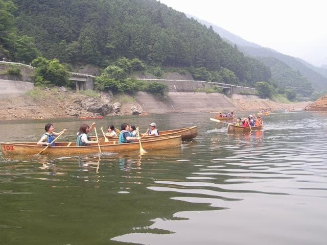 Rental canoe