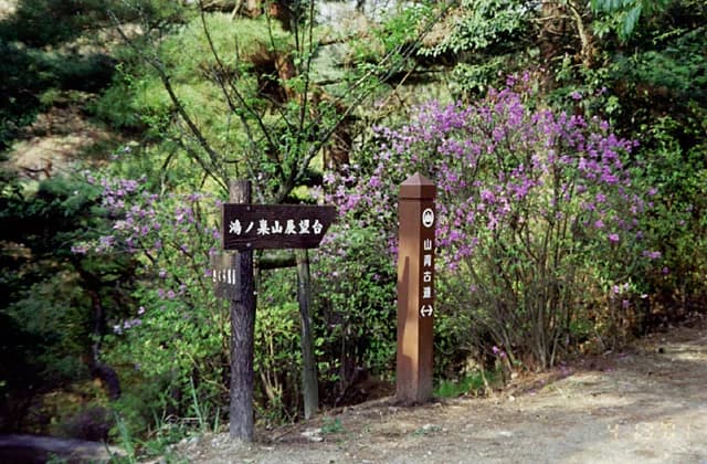 Yamado Kodo