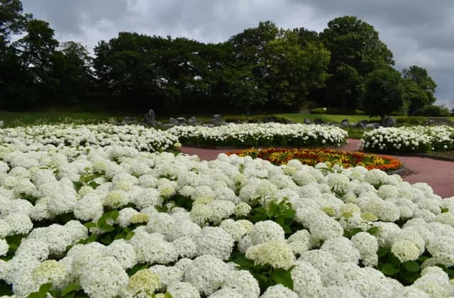 蔓巻公園