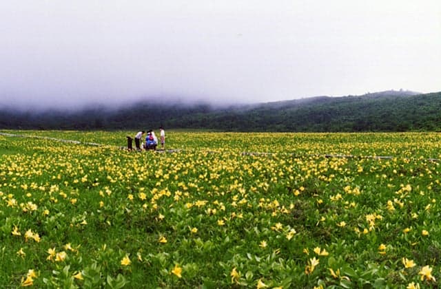 Squirrel of Oguni Marsh