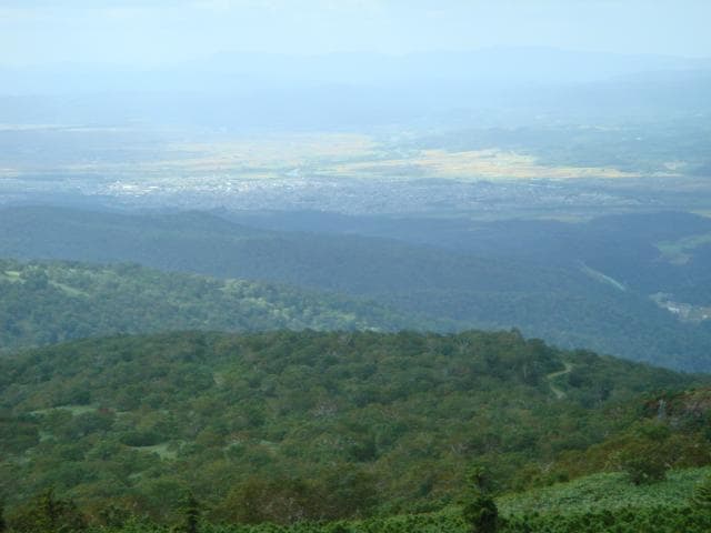 山頂から望む名寄市