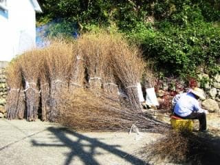 Black bamboo landscape