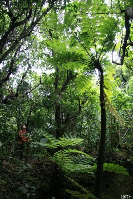 Breast mountain promenade