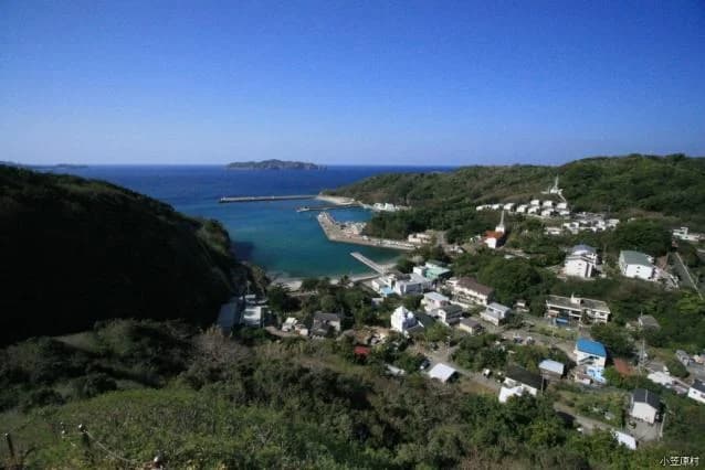 View from Mt.