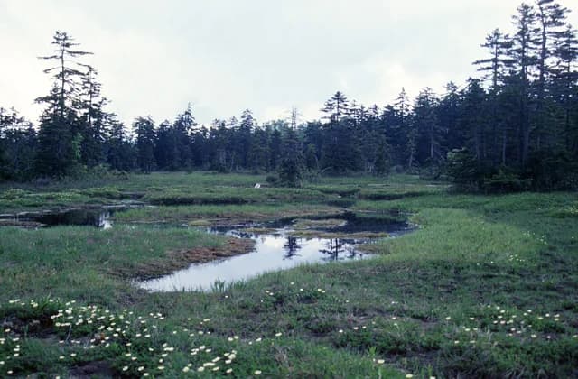 Ukishima