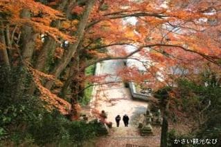 Okuyama-dera Temple