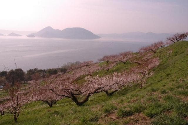 Spring Sobetsu Park Observation Deck