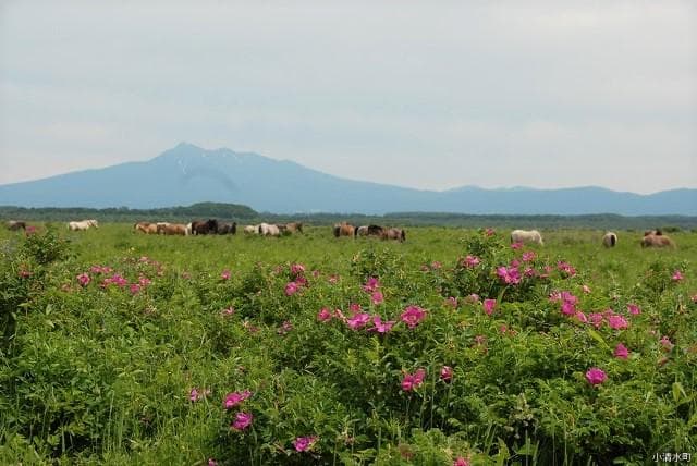 Genseikaen Ranch
