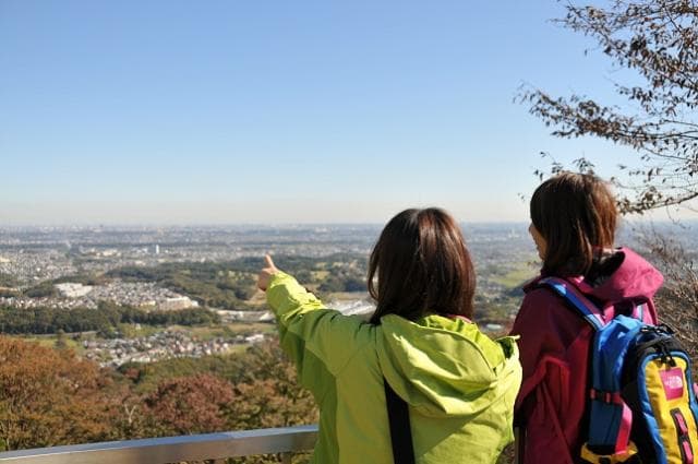 View from the observation deck