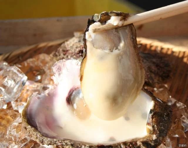 Rock oyster