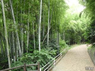 Suzukumayama Park