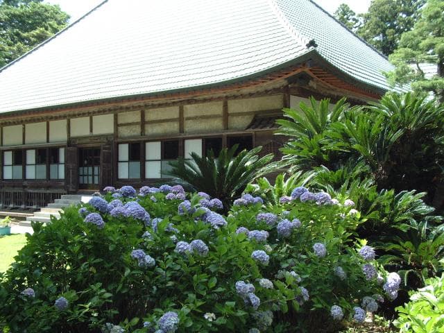 Enzo-in Temple