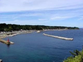 館岩より望む