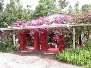 Kaimon Mountain Foot Percentage Garden, Flower and Fragrance Shop