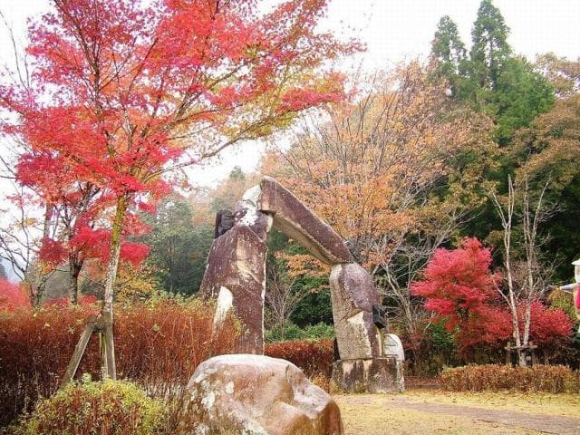 Rakan Autumn Leaves Square