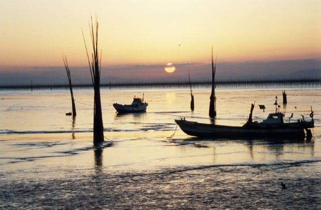 Tidal flats in the Ariake Sea