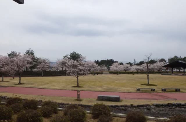 雄物川中央公園