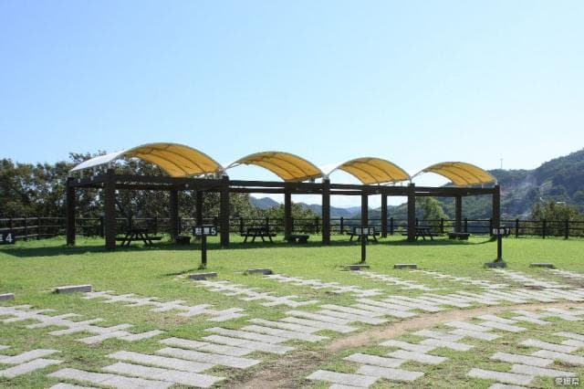 Chicken Kojima Kanchodai