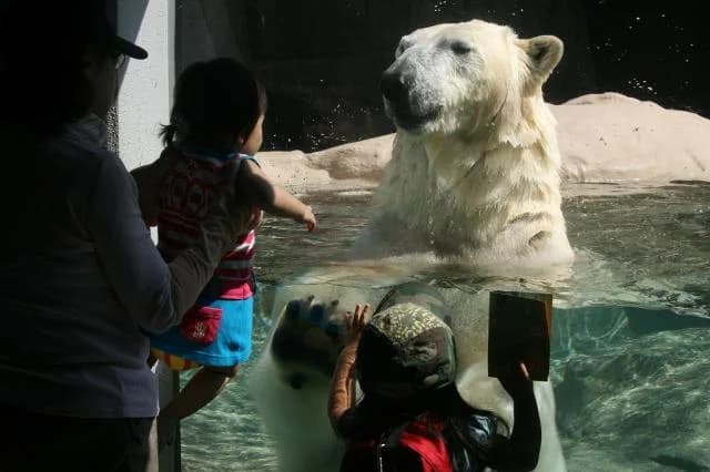 Nihondaira Zoo