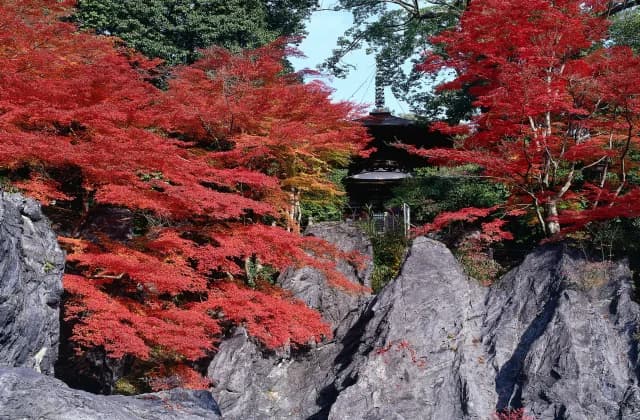 Ishiyama-dera Temple (silica ashite)