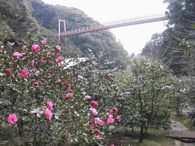 Tsubaki Park