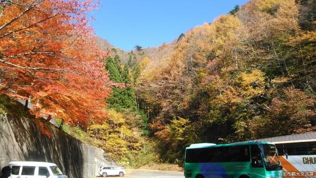 Autumn leaves in Mt. Kasho