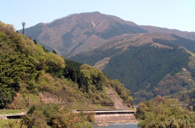 Mt.