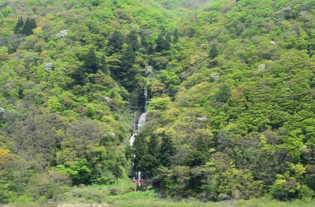 白糸の滝