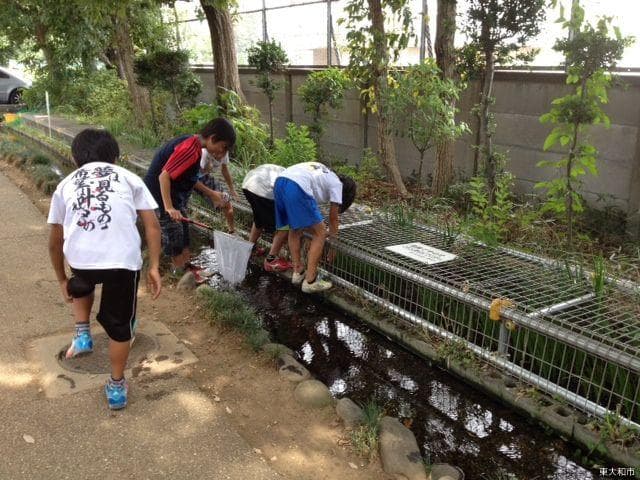 野火止用水のホタルの里づくり