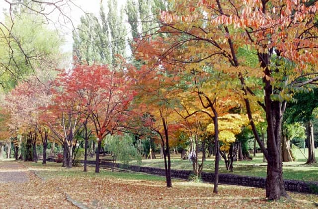 Tokiwa Park