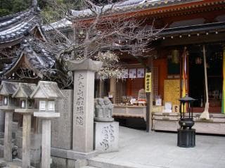 Seifukuin
