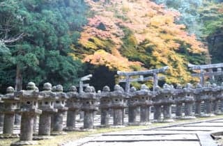 Daisho-in Temple Graveyard