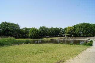 Kiyose Kanayama Ryokuchi Park