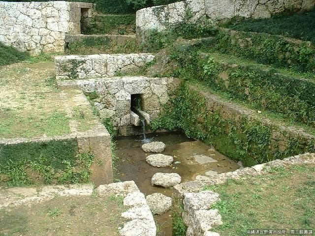 A river in the forest