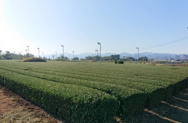 茶臼原古墳群