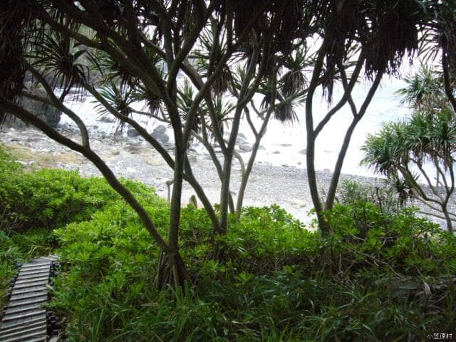 Osawa Coast