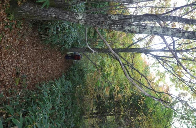 Amehiki Mountain Trail
