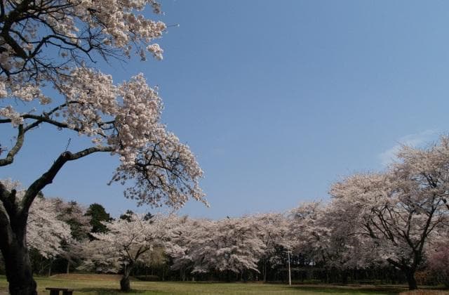 Akadate Park