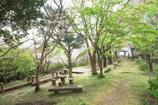 鳥屋城山公園の歩道