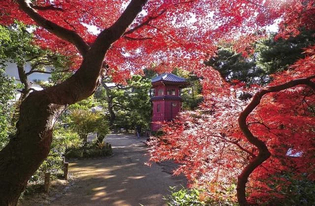 Philosophydo Park