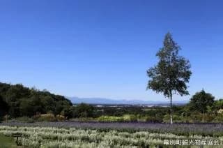 Tokachi Hills