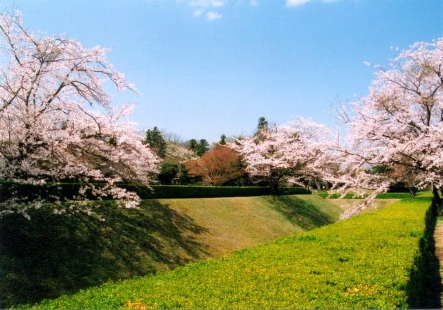 Sakura Castle Ruins