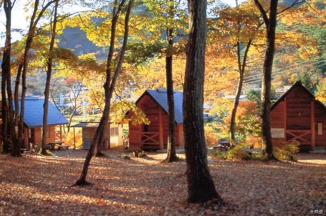 Forest of friendship bungalow