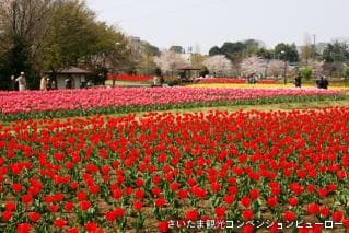 Omiya Hananooka Agriculture and Forestry Park